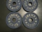 JOEREX 5KG(1.25x4) Dumbbell Weights (Only Weight, No Stick)