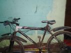 Bicycle for Sell