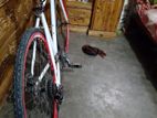 Bicycle for Sale