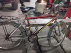 Bicycle for sell