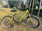 Phoenix Bicycle for Sale