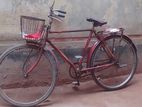 Duranta Bicycle for sale
