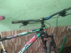 Duranta Bicycle for sale