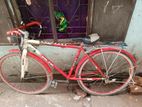 Bicycle for sell