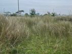 Land for sell