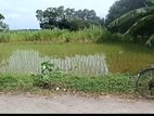 জরুরী ভিত্তিতে ছয় কাঠা জমি বিক্রয় করা হবে |