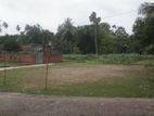 জরুরী ভিত্তিতে প্লট বিক্রয়