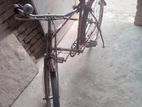 Cycle for sale