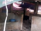 গরু ফার্ম সহ জমি বিক্রি হবে