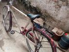 Bicycle for sell