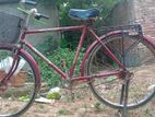 cycles for sell