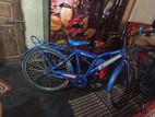 Duranta Bicycle for sale