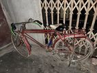 Bicycle for sell