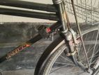 Cycle For Sale