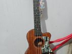 Jsm 26 Inc Ukulele