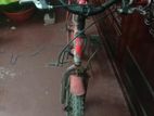 Bicycle for sell