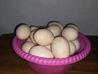 কাদাখনাথ মুরগির বিজ ডিম