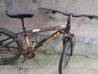 Forever Bicycle for sale
