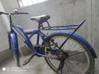 Duranta Bicycle