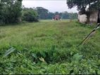 কামালবাজার রোডের লক্ষীবাসায় মসজিদের সাথে ৪৫ ডেসিমেল জায়গা বিক্রি হবে..