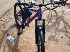 Phoenix Bicycle for sale