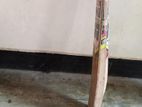Kashmir willow bat