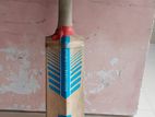 Kashmir willow bat