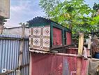 কবুতরের ঘর ১৮ কুপের