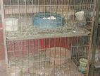 কবুতরের খাঁচা