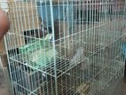 কবুতরের খাঁচা