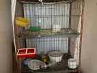 কবুতরের খাঁচা