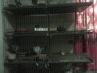 কবুতরের খাঁচা খাচা