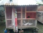 কবুতরের খোপ বিক্রি করা হবে।