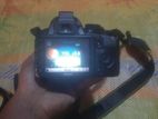 Nikon D3100
