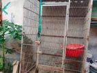 খাঁচা বিক্রি হবে