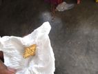 খাউব সুন্দর ও গর্জিয়াস ডিজাইন আংটি