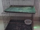 Khacha for sell