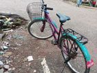 Duranta Bicycle for sale