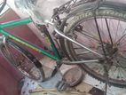 Duranta Bicycle for Sell