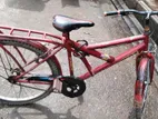 Duranta Bicycle For Sale