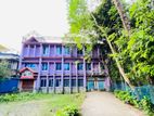 খুব কম মূল্যে বেনাপোল শাখারিপোতায় বাংলো বাড়ি ও খামার বিক্রয় হবে