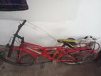 Duranta Bicycle for sale