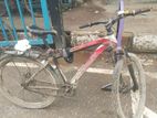 Phoenix Bicycle for sale