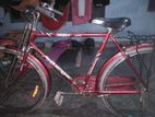 Cycle for sell