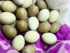 King Quyal Egg Bizz dim