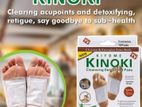 Kinoki detox foot pads