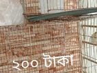 ককাটেল পাখির ব্রিডিং বক্স বিক্রি হবে দুইটা