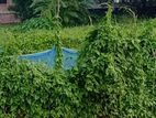 কম বাজেটে নির্ভেজাল প্রপার্টি বিক্রি