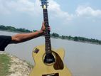 “কম দামে গিটার সেল”