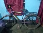 Bicycle for sale